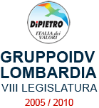 VIII LEGISLATURA